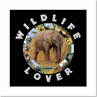 Wildlife Lover Elephant Calf Posters and Art